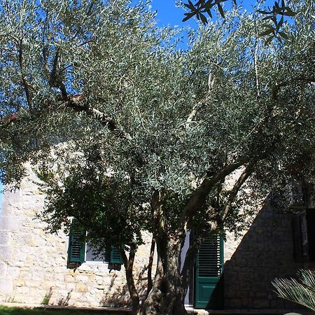 Appartamento Le Tre Palme Frigintini Exterior photo
